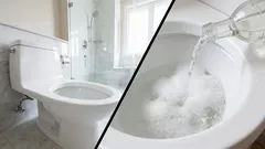 Cum să curățați toaleta de pietrele de urină: câteva remedii simple de casă vă pot ajuta