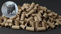  Cum să scăpați de șoareci din casă folosind un suport pentru peria de toaletă: o capcană eficientă făcută acasă