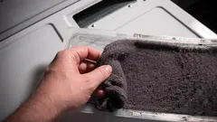 Înainte de a le arunca, aflați cum puteți folosi scame din uscătorul de rufe în grădină