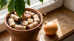 Am scăpat de muștele din ceapă și din flori folosind un dop obișnuit de sticlă de vin (și vă recomand să faceți la fel – funcționează!).