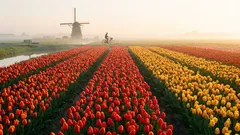 Traseul ideal pentru o călătorie prin Europa în această primăvară.